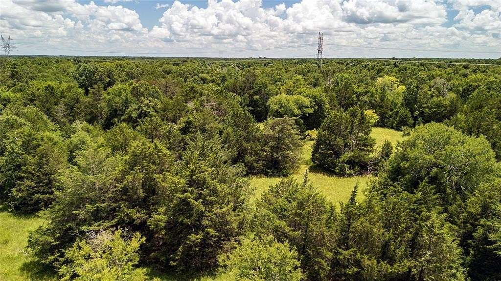 10 Acres of Recreational Land for Sale in Wortham, Texas