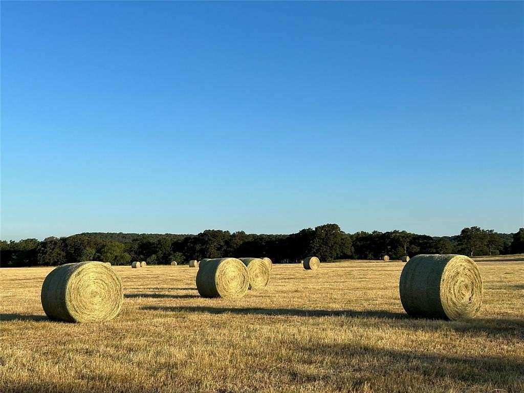 93.3 Acres of Agricultural Land for Sale in Millsap, Texas