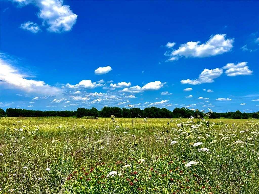 2.47 Acres of Residential Land for Sale in Nevada, Texas