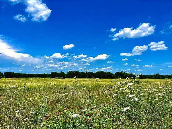 2.47 Acres of Residential Land for Sale in Nevada, Texas