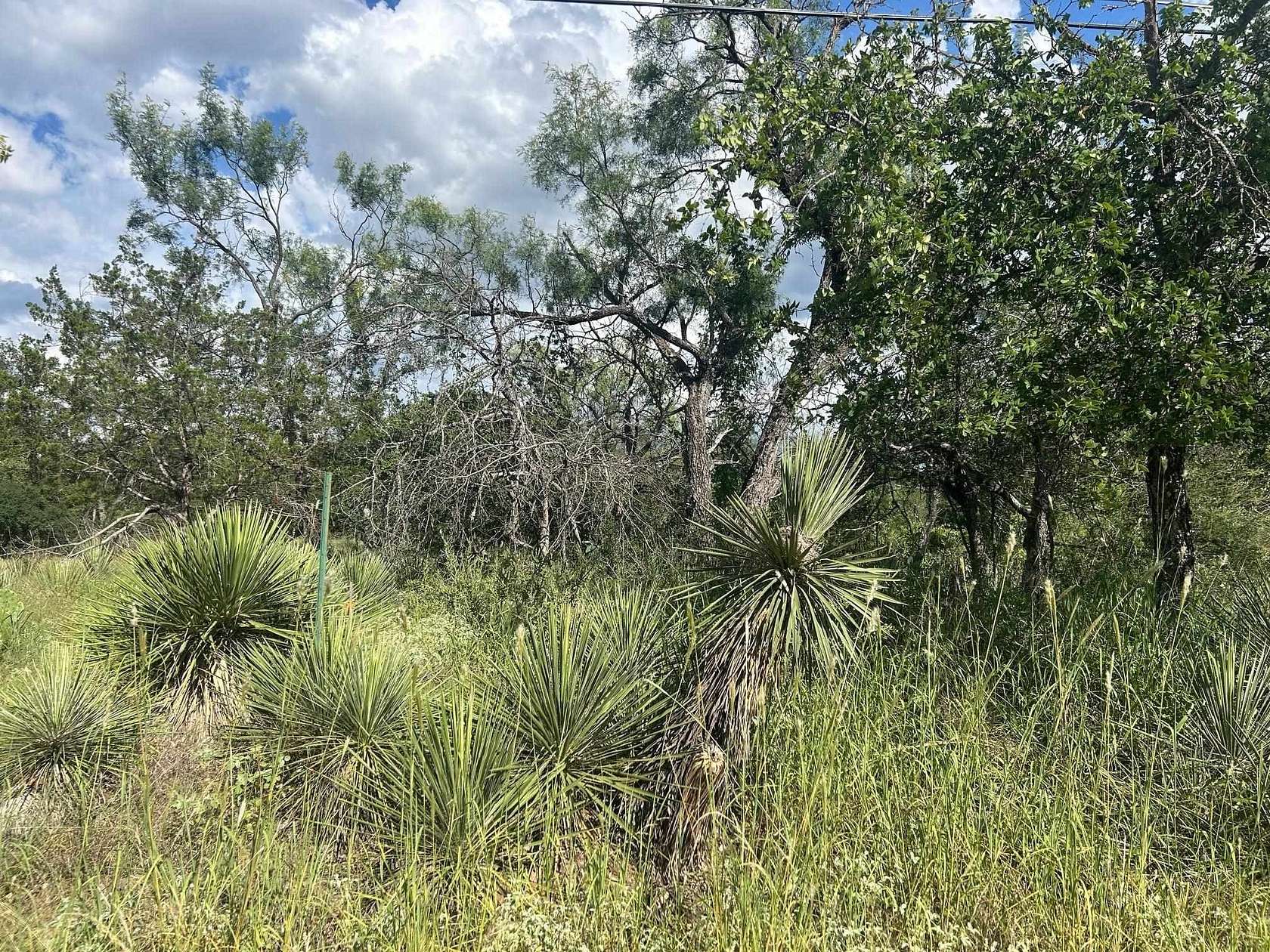 0.46 Acres of Residential Land for Sale in Granite Shoals, Texas