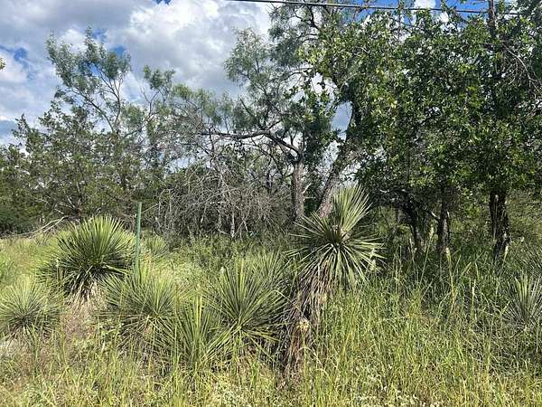 0.46 Acres of Residential Land for Sale in Granite Shoals, Texas