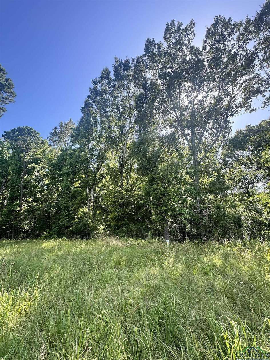 7.87 Acres of Residential Land for Sale in Tatum, Texas