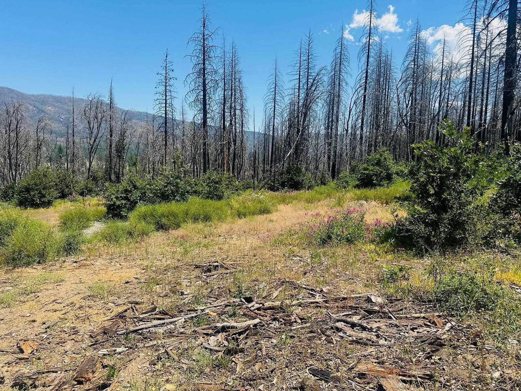 0.44 Acres of Residential Land for Sale in Greenville, California