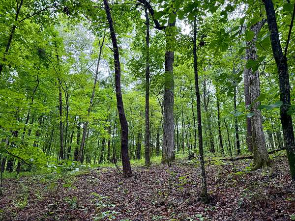 21.7 Acres of Land for Sale in Vandiver, Alabama
