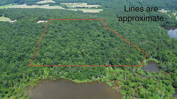 23.4 Acres of Recreational Land & Farm for Sale in Town Creek, Alabama