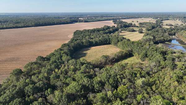 454 Acres of Recreational Land & Farm for Sale in Starkville, Mississippi