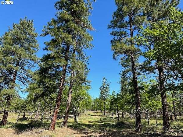 6 Acres of Residential Land for Sale in Goldendale, Washington