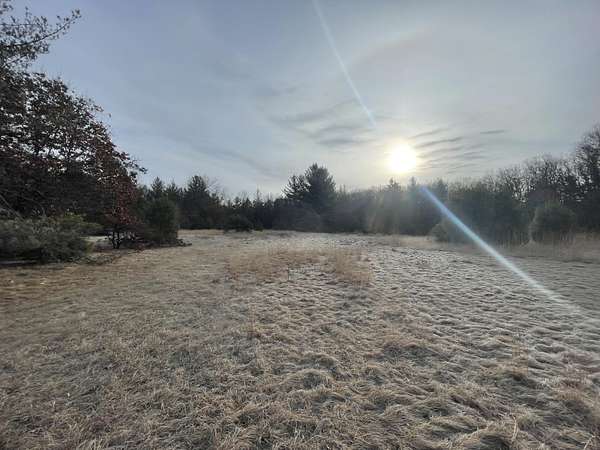 20 Acres of Land for Sale in Harrison, Michigan