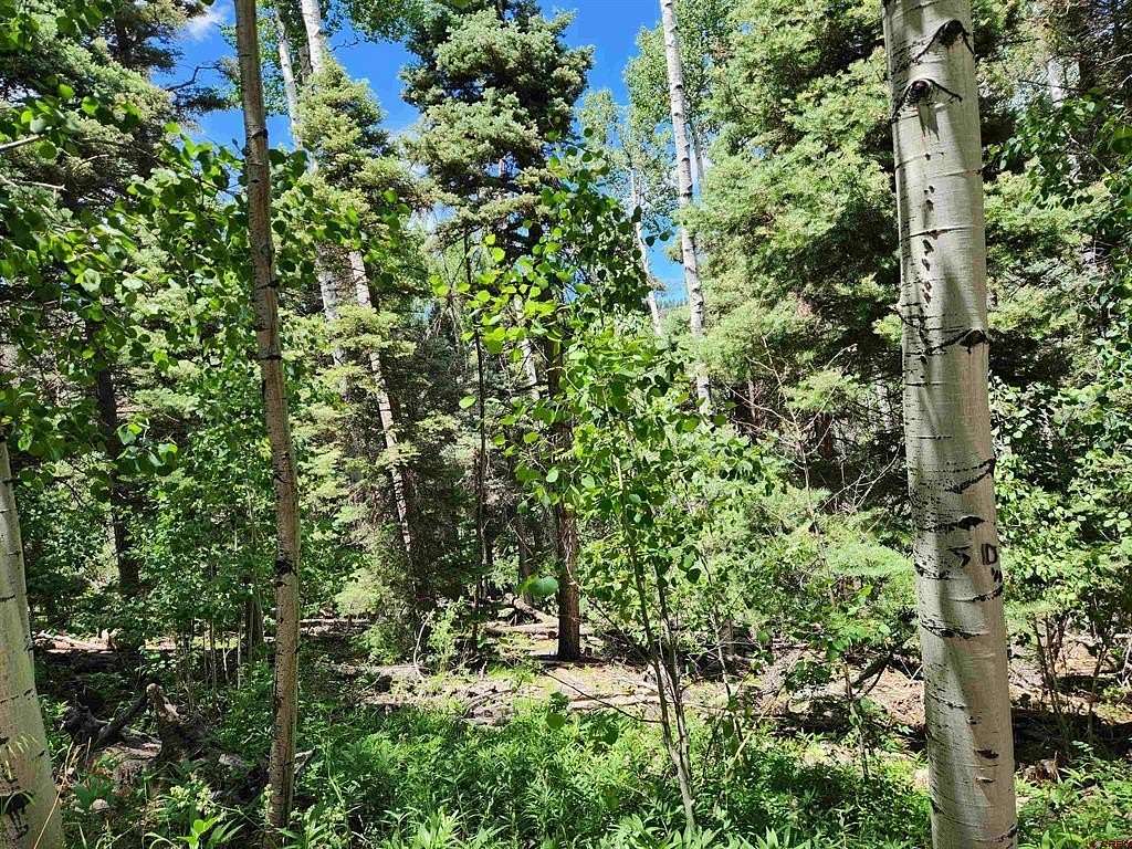 1.3 Acres of Residential Land for Sale in Antonito, Colorado