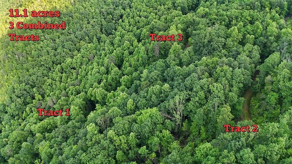 11.1 Acres of Recreational & Residential Land for Sale in Franklin, North Carolina