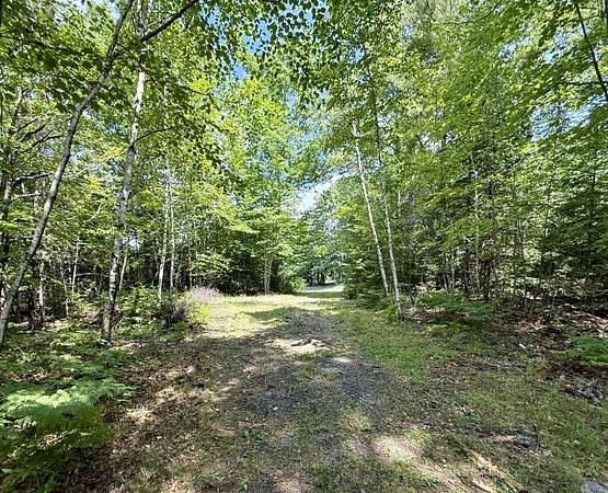 40.3 Acres of Improved Recreational Land for Sale in Baileyville Town, Maine