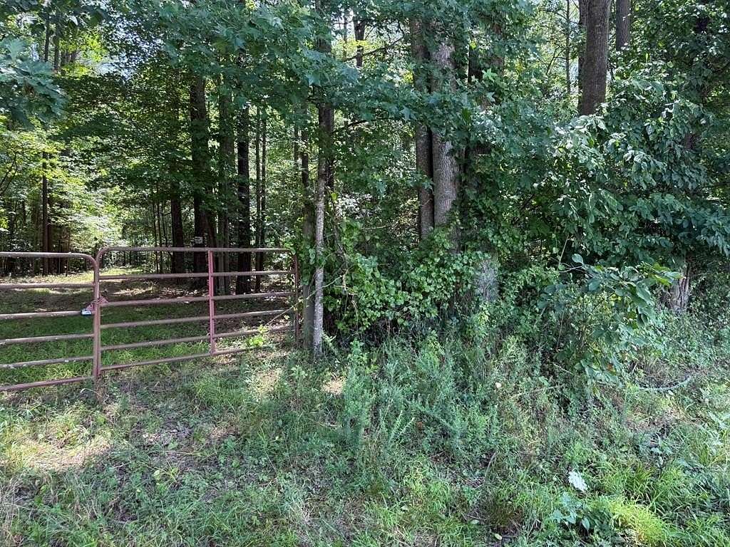 55.5 Acres of Recreational & Residential Land for Sale in Lancaster, Virginia