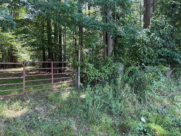55.5 Acres of Recreational & Residential Land for Sale in Lancaster, Virginia