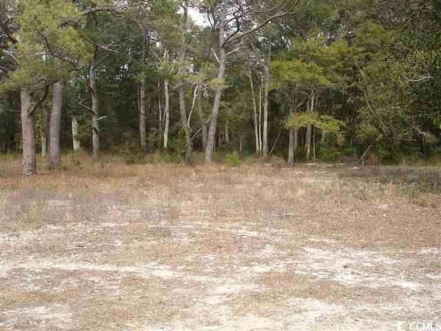 0.5 Acres of Residential Land for Sale in North Myrtle Beach, South Carolina
