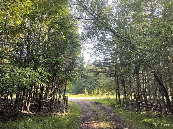 10 Acres of Recreational & Residential Land for Sale in Garden, Michigan