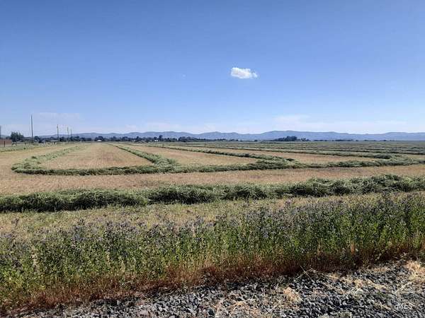 2.6 Acres of Residential Land for Sale in Fairfield, Idaho