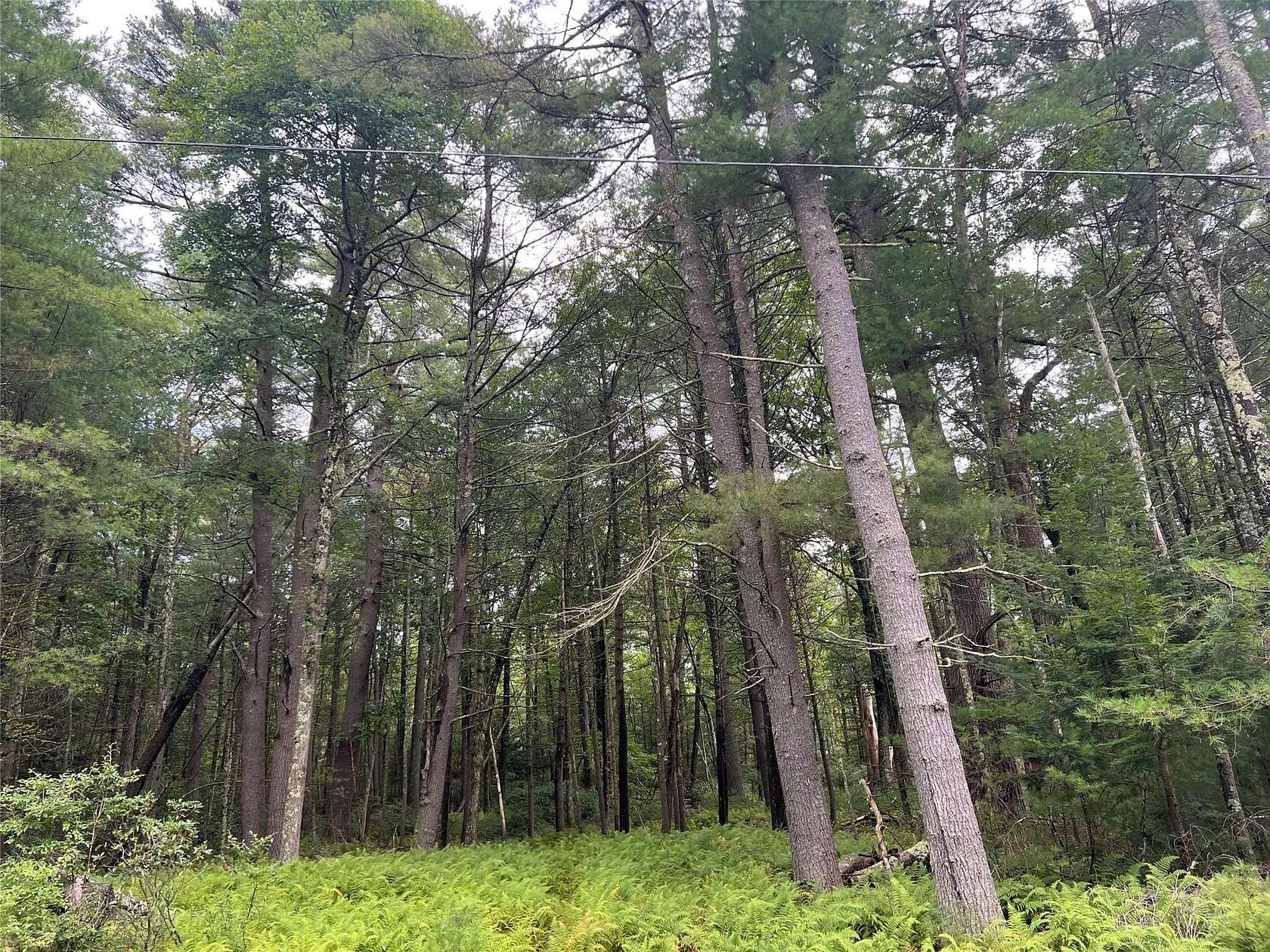 5.18 Acres of Residential Land for Sale in Narrowsburg, New York