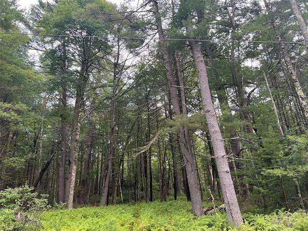 5.18 Acres of Residential Land for Sale in Narrowsburg, New York