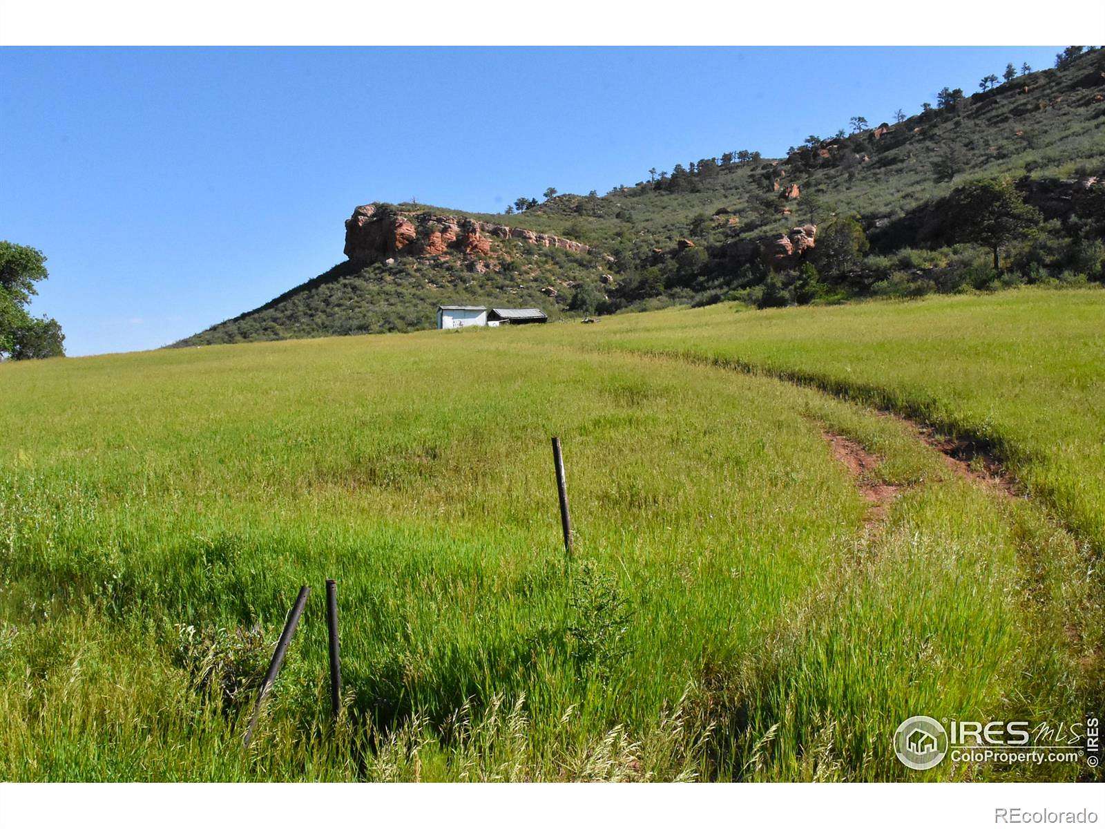 40 Acres of Recreational Land for Sale in Livermore, Colorado