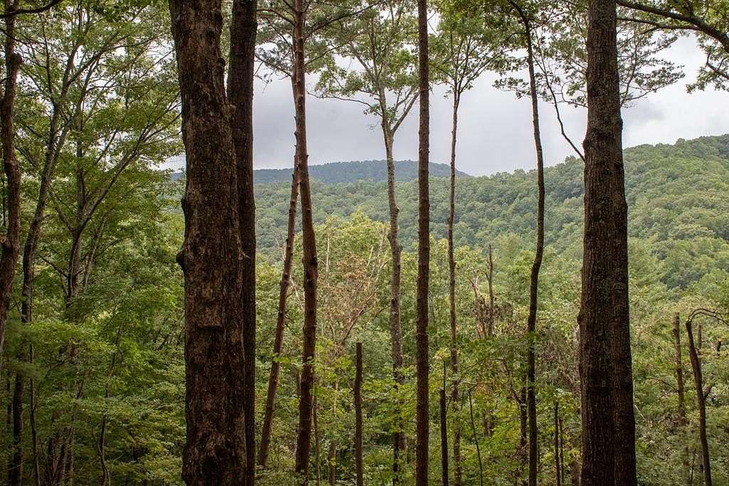 2.3 Acres of Residential Land with Home for Sale in Blue Ridge, Georgia