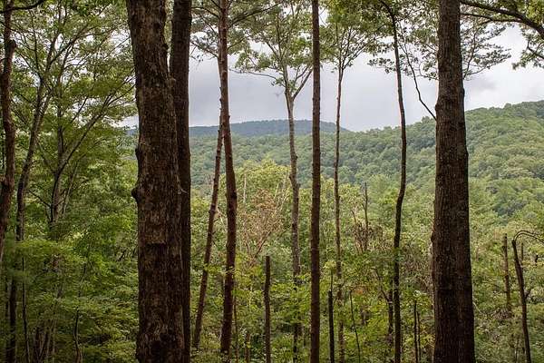 2.3 Acres of Residential Land with Home for Sale in Blue Ridge, Georgia