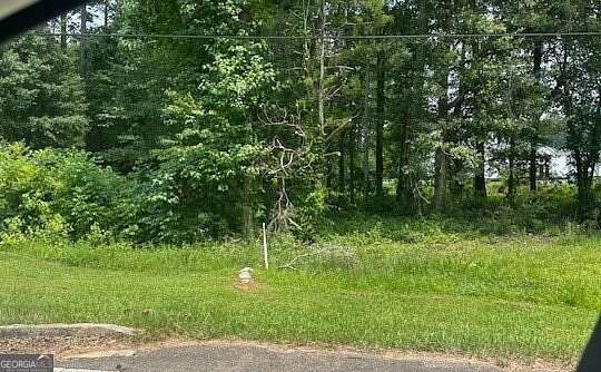 11 Acres of Commercial Land for Sale in Sharpsburg, Georgia