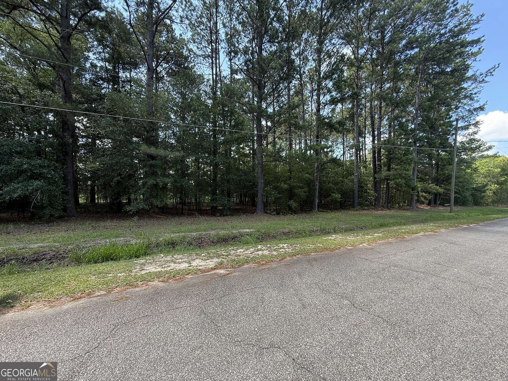 0.88 Acres of Residential Land for Sale in Hawkinsville, Georgia
