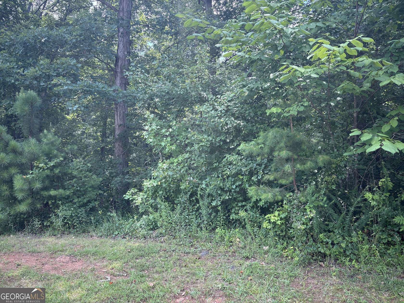 9.76 Acres of Mixed-Use Land for Sale in Pendergrass, Georgia