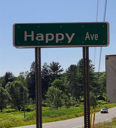 19.6 Acres of Land with Home for Sale in Swan Lake, New York