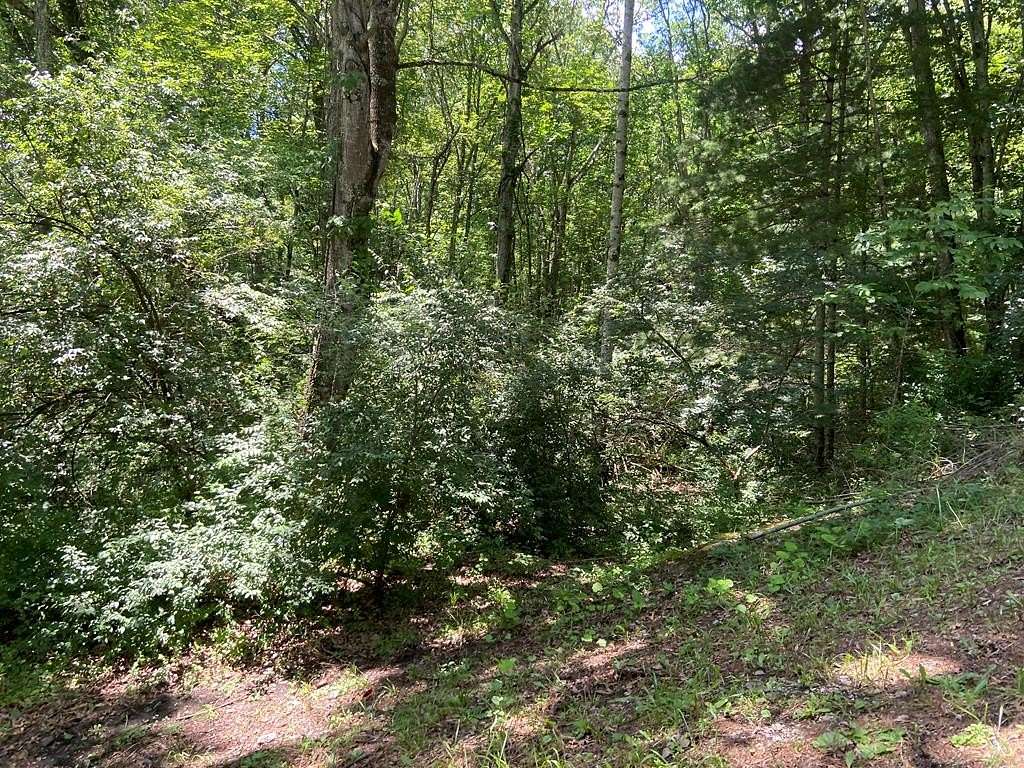 5 Acres of Residential Land for Sale in Bluefield, West Virginia