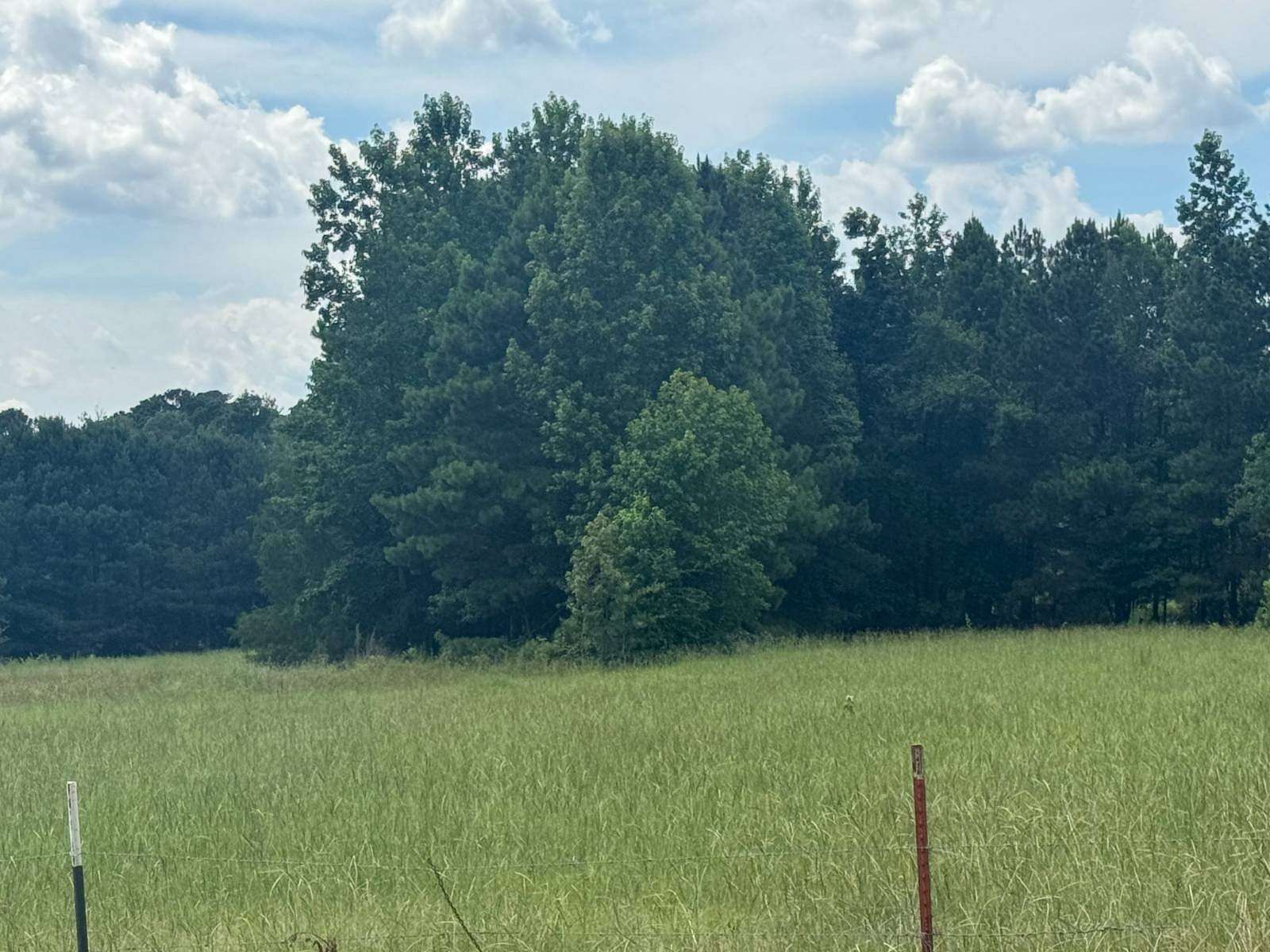 76.4 Acres of Land for Sale in Rosston, Arkansas