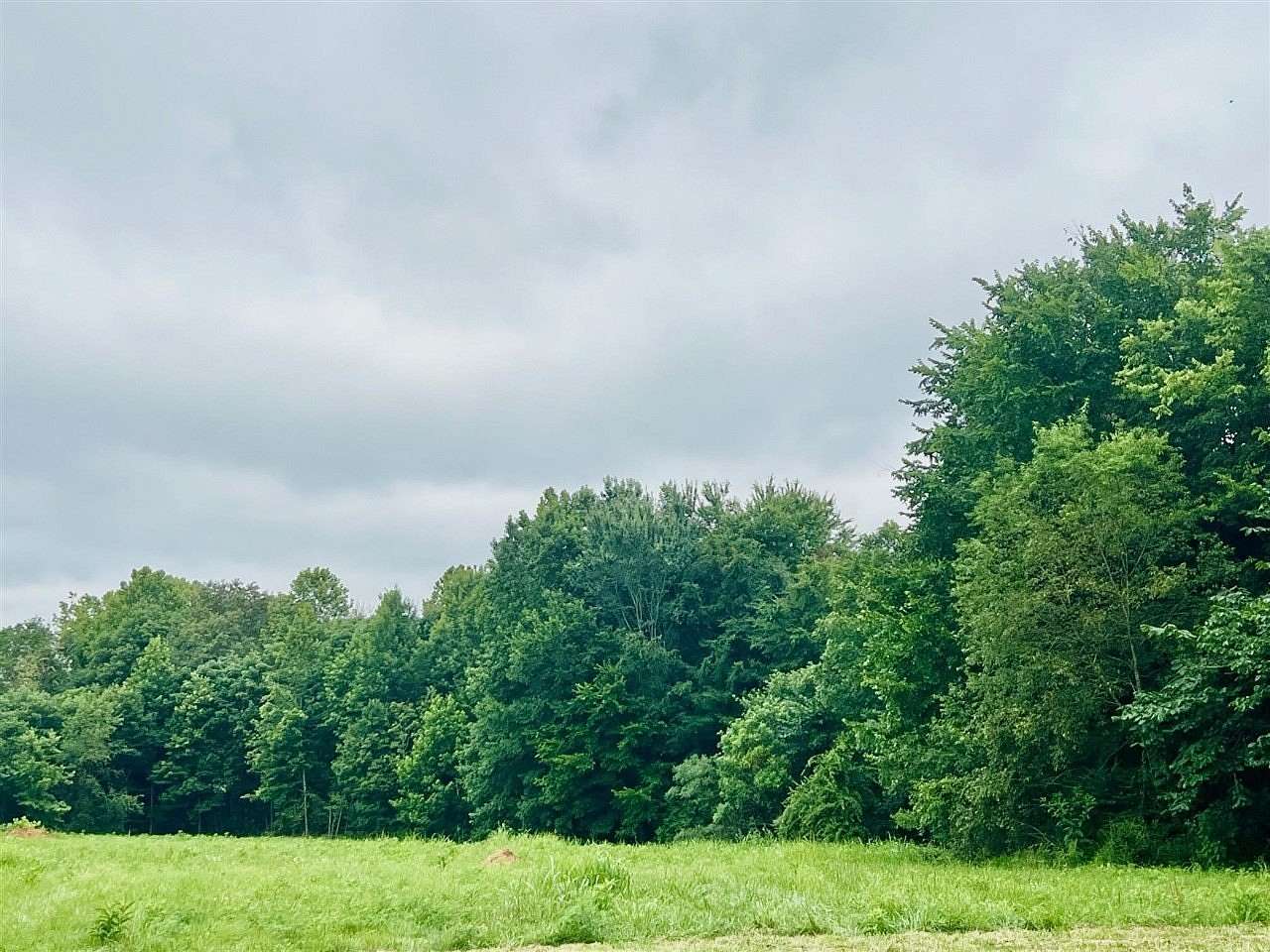 2 Acres of Residential Land for Sale in Brownsville, Kentucky