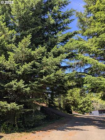 0.29 Acres of Residential Land for Sale in Waldport, Oregon