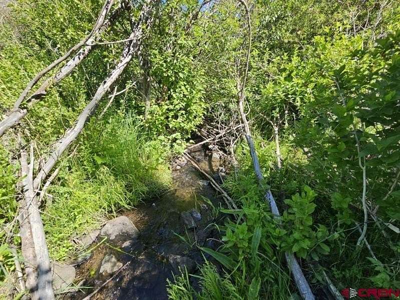 1.17 Acres of Residential Land for Sale in South Fork, Colorado