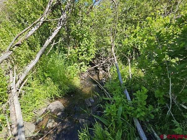 1.17 Acres of Residential Land for Sale in South Fork, Colorado