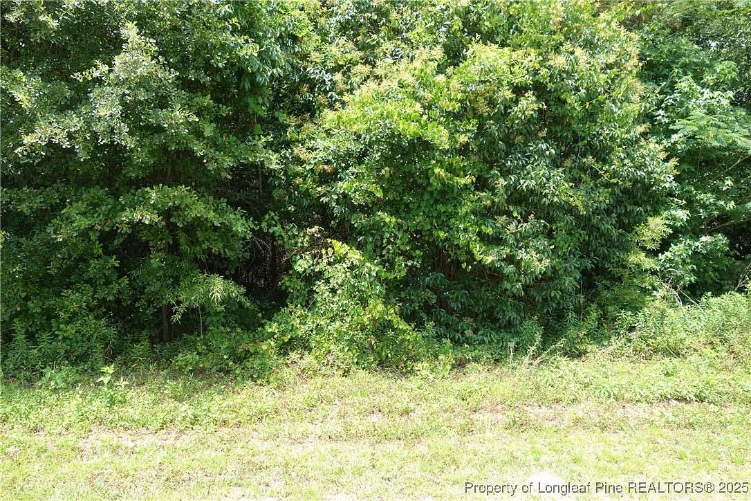 14.8 Acres of Land for Sale in Fairmont, North Carolina