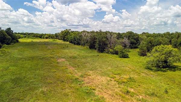 10 Acres of Recreational Land for Sale in Wortham, Texas