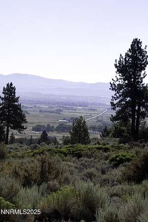 40 Acres of Recreational Land for Sale in Gardnerville, Nevada