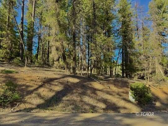 1.76 Acres of Residential Land for Sale in Hayfork, California