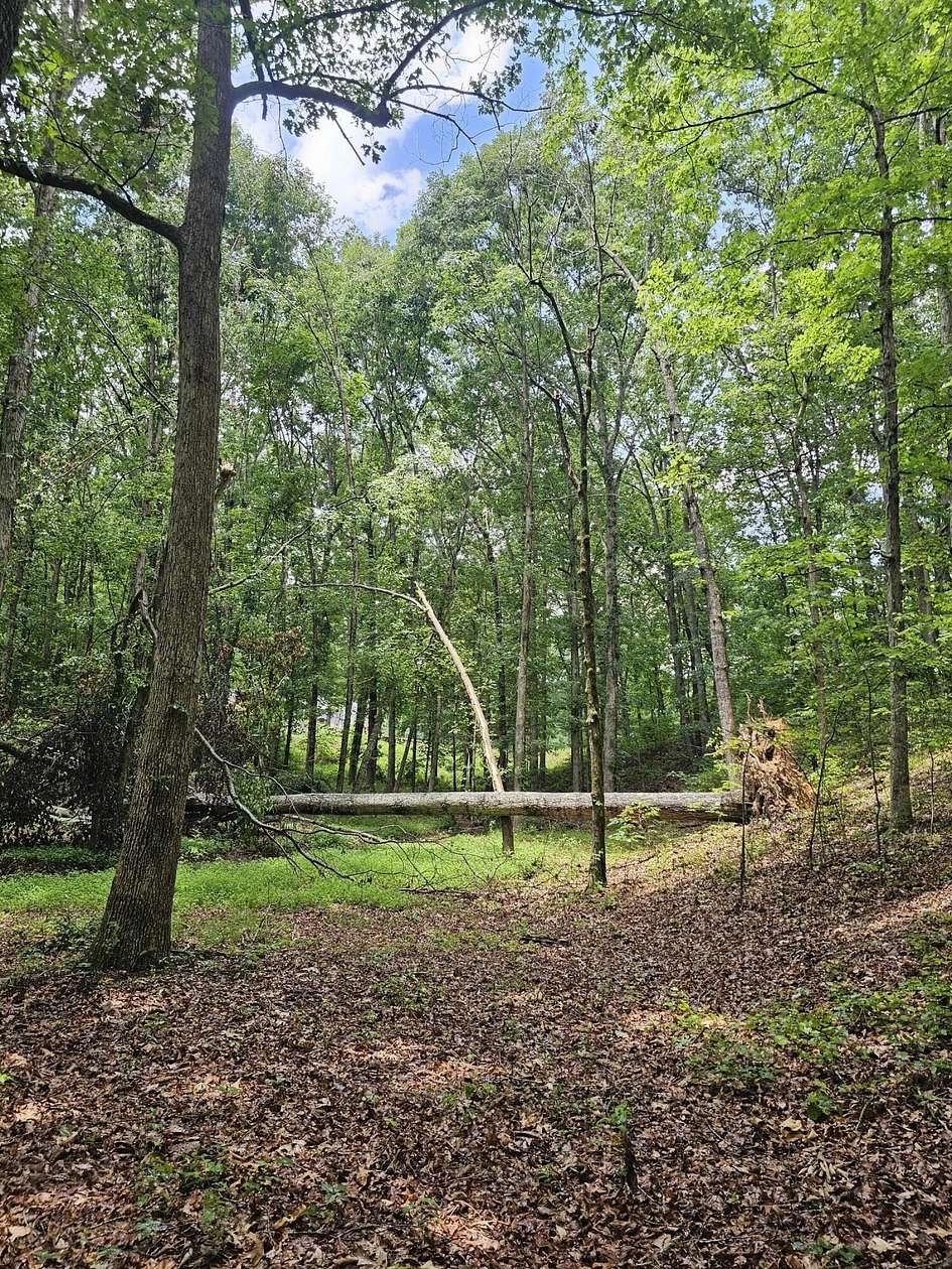 2.87 Acres of Residential Land for Sale in Ringgold, Georgia