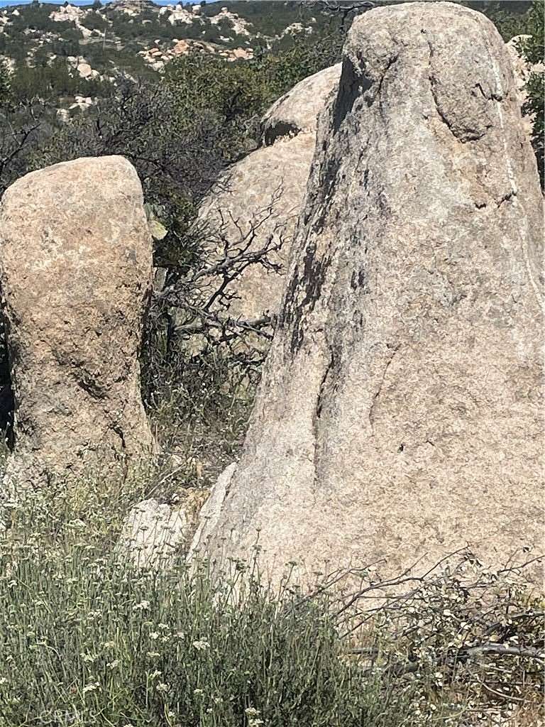 5 Acres of Residential Land for Sale in Anza, California