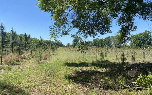 15 Acres of Land for Sale in Branford, Florida
