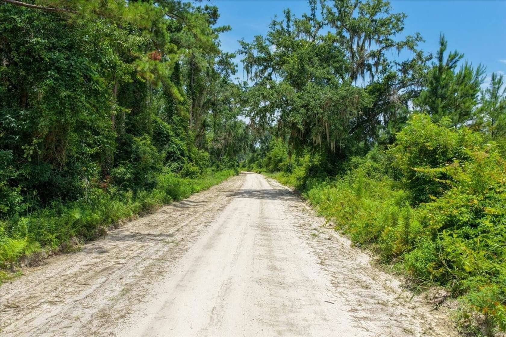 10 Acres of Recreational Land for Sale in Madison, Florida