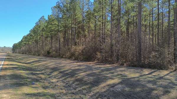 5.5 Acres of Land for Sale in Columbus, Mississippi