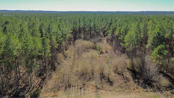 11 Acres of Recreational & Residential Land for Sale in Columbus, Mississippi