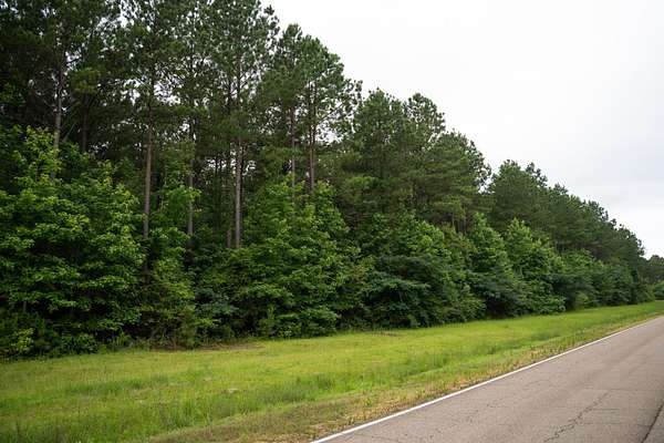 11 Acres of Recreational Land for Sale in Columbus, Mississippi