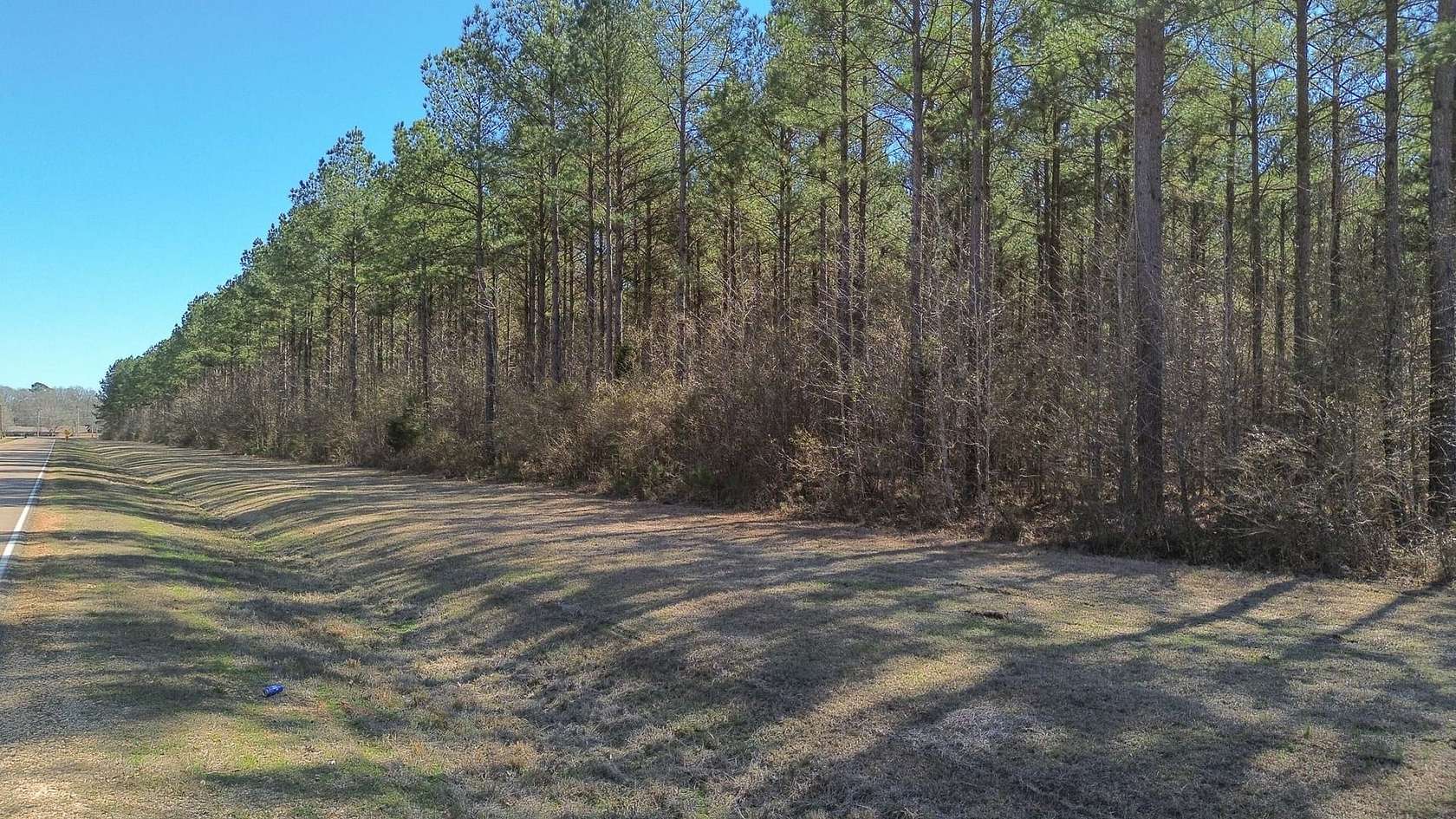13 Acres of Recreational & Residential Land for Sale in Columbus, Mississippi