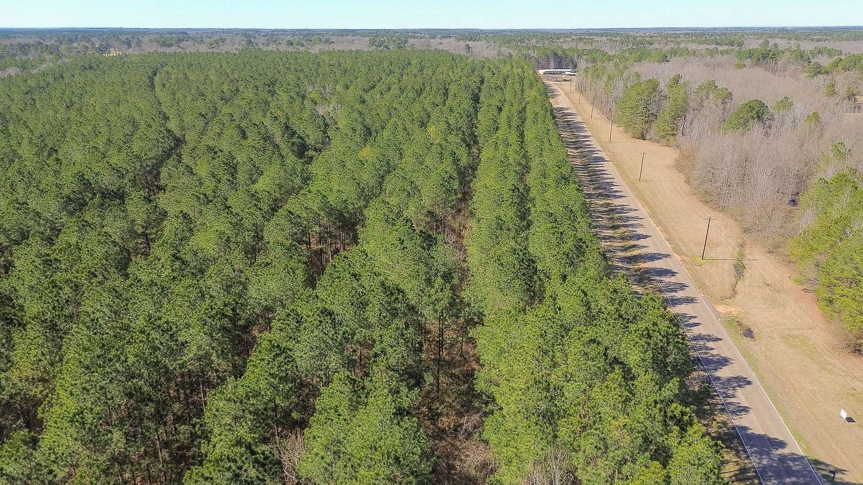 16 Acres of Recreational & Residential Land for Sale in Columbus, Mississippi