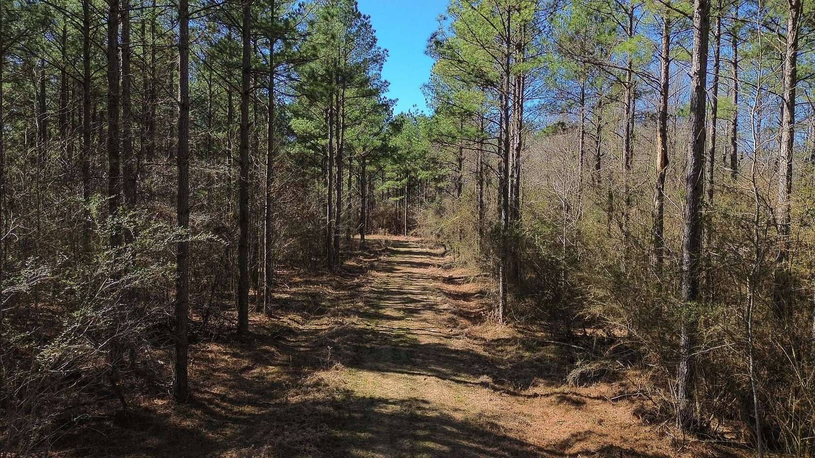 65 Acres of Recreational & Residential Land for Sale in Columbus, Mississippi